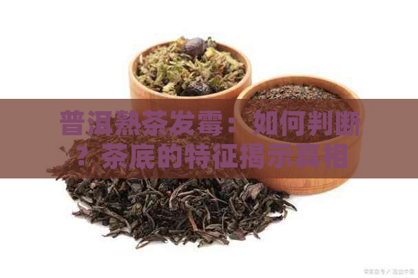 普洱熟茶发霉：如何判断？茶底的特征揭示真相