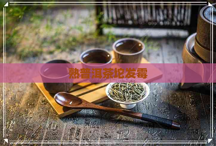 熟普洱茶坨发霉