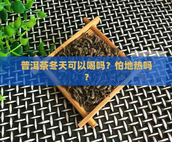 普洱茶冬天可以喝吗？怕地热吗？