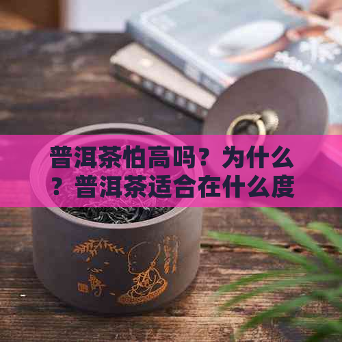 普洱茶怕高吗？为什么？普洱茶适合在什么度下饮用？