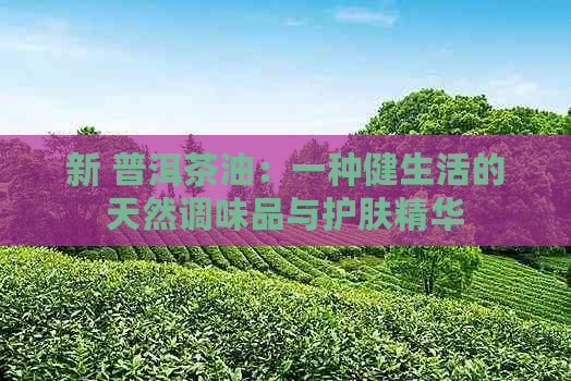 新 普洱茶油：一种健生活的天然调味品与护肤精华