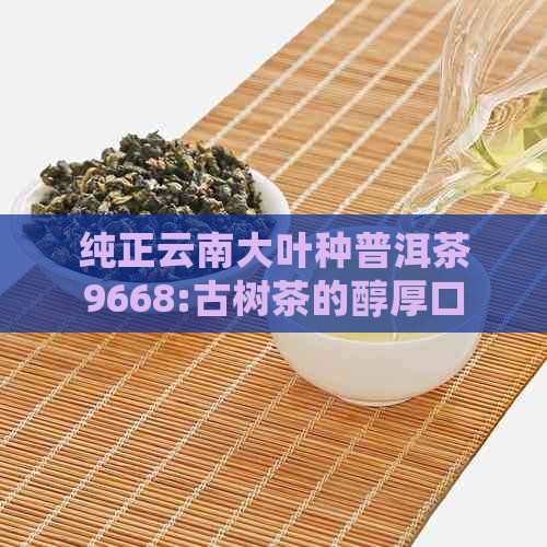 纯正云南大叶种普洱茶9668:古树茶的醇厚口感与健益处