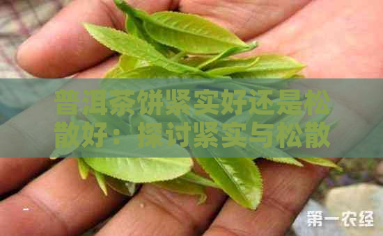 普洱茶饼紧实好还是松散好：探讨紧实与松散普洱茶饼的口感差异