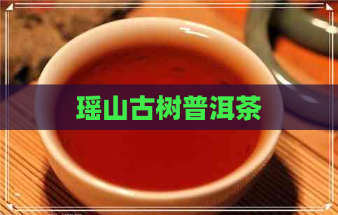 瑶山古树普洱茶