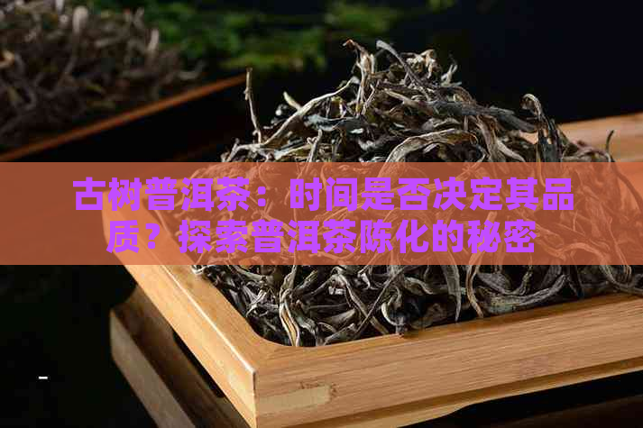 古树普洱茶：时间是否决定其品质？探索普洱茶陈化的秘密