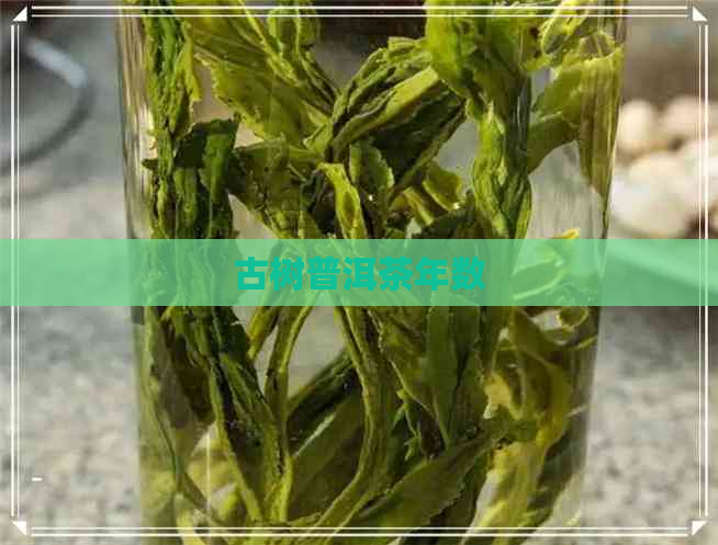 古树普洱茶年数