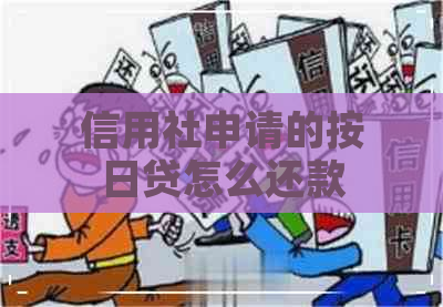 信用社申请的按日贷怎么还款