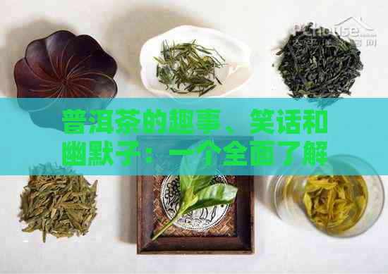 普洱茶的趣事、笑话和幽默子：一个全面了解普洱茶的娱乐与知识库