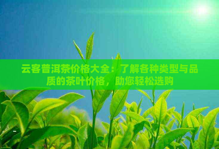 云客普洱茶价格大全：了解各种类型与品质的茶叶价格，助您轻松选购