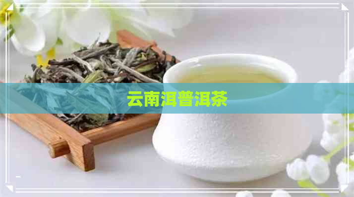 云南洱普洱茶