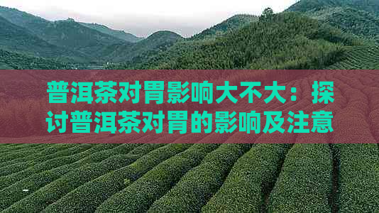 普洱茶对胃影响大不大：探讨普洱茶对胃的影响及注意事项