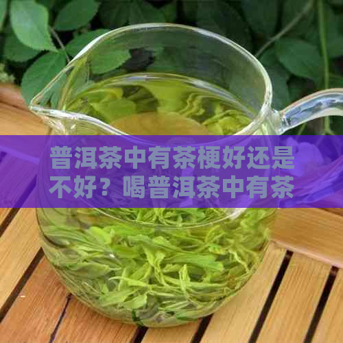 普洱茶中有茶梗好还是不好？喝普洱茶中有茶梗口感如何？