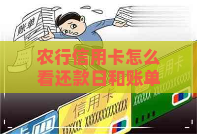 农行信用卡怎么看还款日和账单日