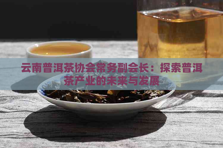 云南普洱茶协会常务副会长：探索普洱茶产业的未来与发展