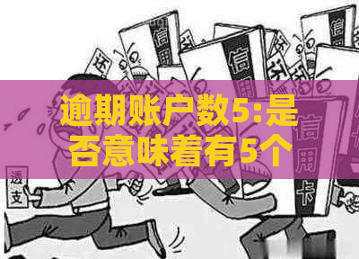 逾期账户数5:是否意味着有5个账户曾逾期？解答与分析