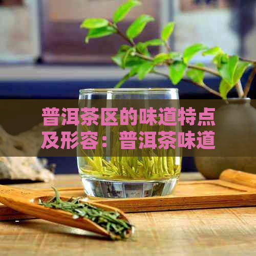 普洱茶区的味道特点及形容：普洱茶味道究竟应该是什么样的？