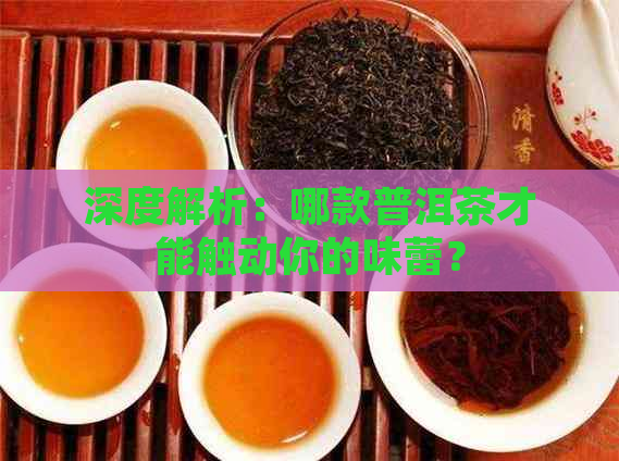 深度解析：哪款普洱茶才能触动你的味蕾？