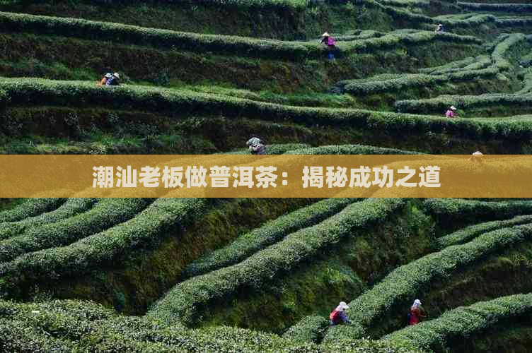 潮汕老板做普洱茶：揭秘成功之道