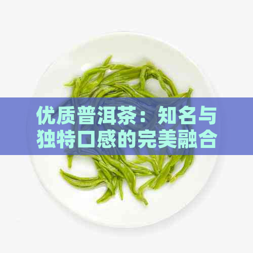 优质普洱茶：知名与独特口感的完美融合