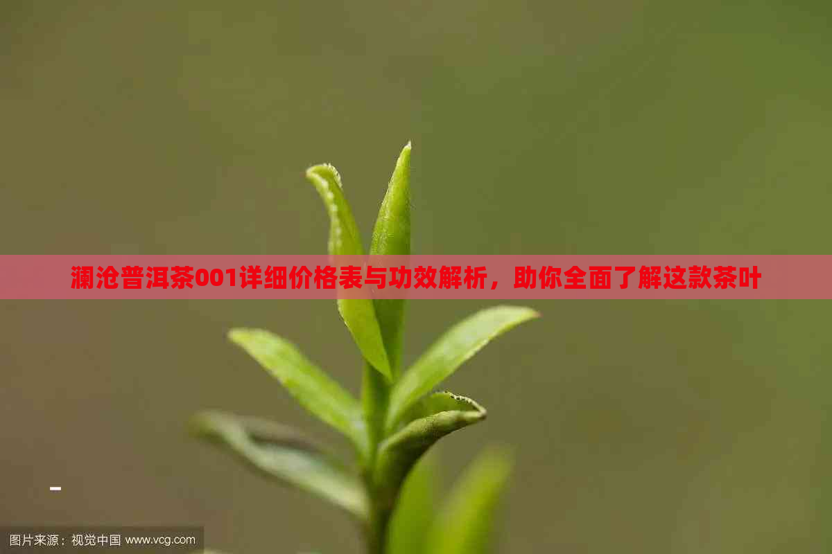 澜沧普洱茶001详细价格表与功效解析，助你全面了解这款茶叶