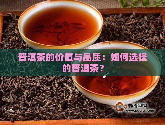 普洱茶的价值与品质：如何选择的普洱茶？