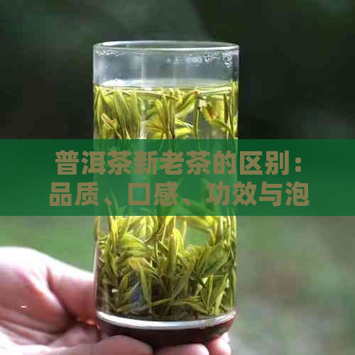 普洱茶新老茶的区别：品质、口感、功效与泡法全方位解析