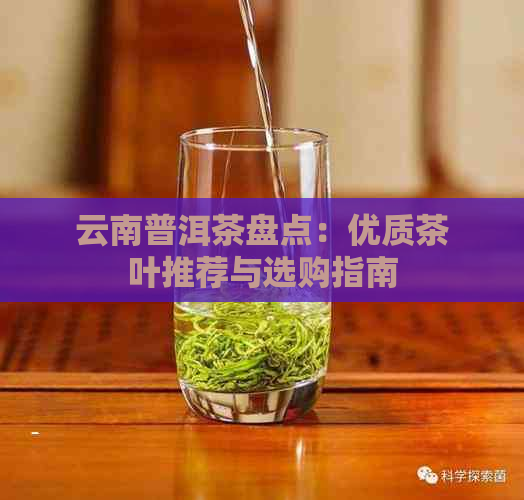 云南普洱茶盘点：优质茶叶推荐与选购指南