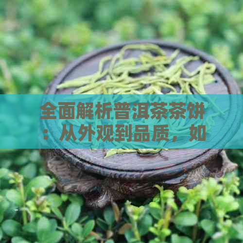 全面解析普洱茶茶饼：从外观到品质，如何挑选与品鉴？