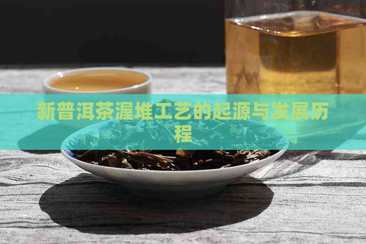 新普洱茶渥堆工艺的起源与发展历程