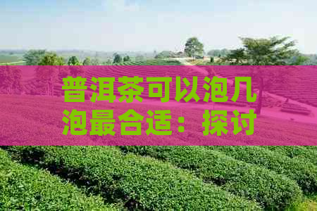 普洱茶可以泡几泡最合适：探讨普洱茶的冲泡次数与口感关系