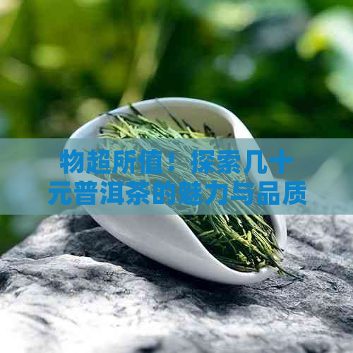 物超所值！探索几十元普洱茶的魅力与品质