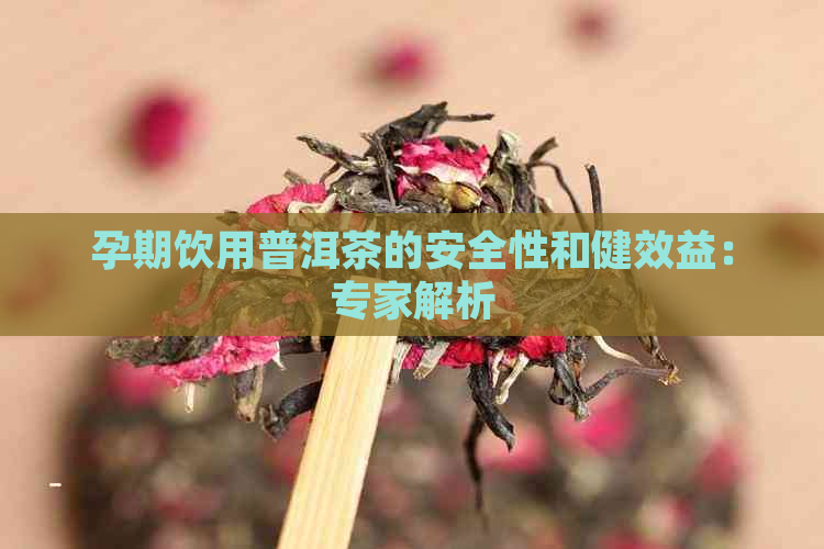 孕期饮用普洱茶的安全性和健效益：专家解析