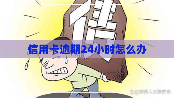 信用卡逾期24小时怎么办