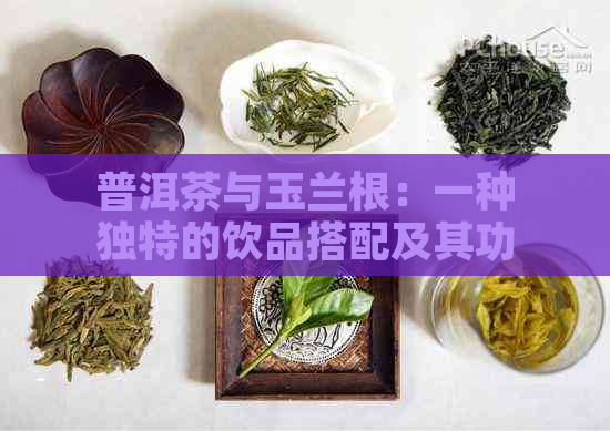 普洱茶与玉兰根：一种独特的饮品搭配及其功效和制作方法