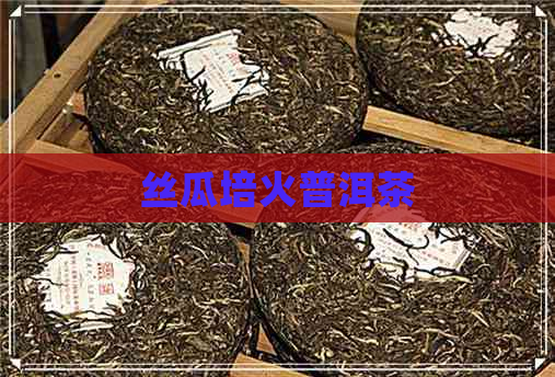 丝瓜培火普洱茶