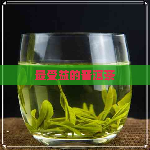 最受益的普洱茶