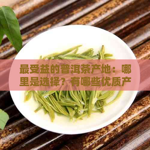 最受益的普洱茶产地：哪里是选择？有哪些优质产地？