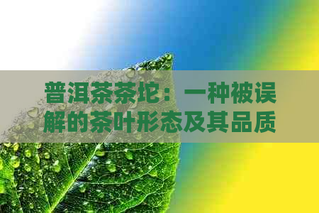 普洱茶茶坨：一种被误解的茶叶形态及其品质真相