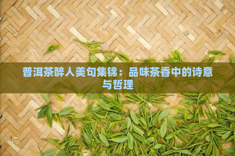 普洱茶醉人美句集锦：品味茶香中的诗意与哲理