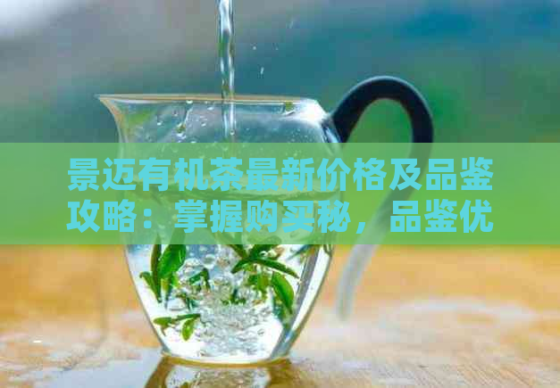 景迈有机茶最新价格及品鉴攻略：掌握购买秘，品鉴优质好茶