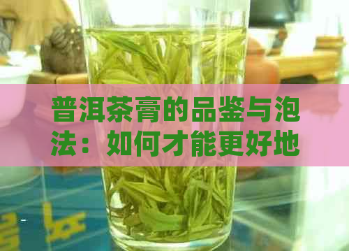 普洱茶膏的品鉴与泡法：如何才能更好地品尝和欣这种独特的茶饮？