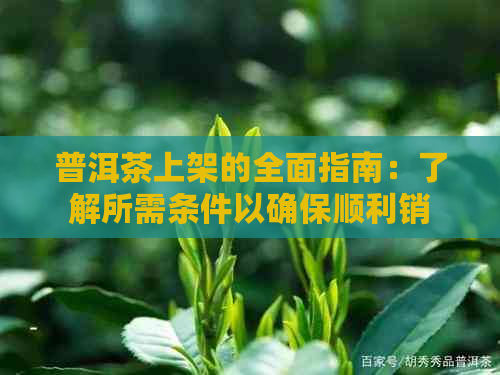 普洱茶上架的全面指南：了解所需条件以确保顺利销售