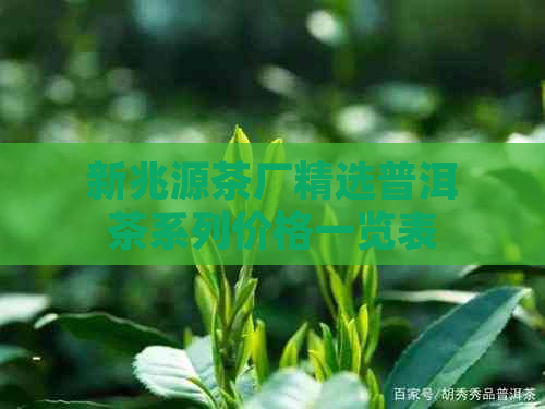 新兆源茶厂精选普洱茶系列价格一览表