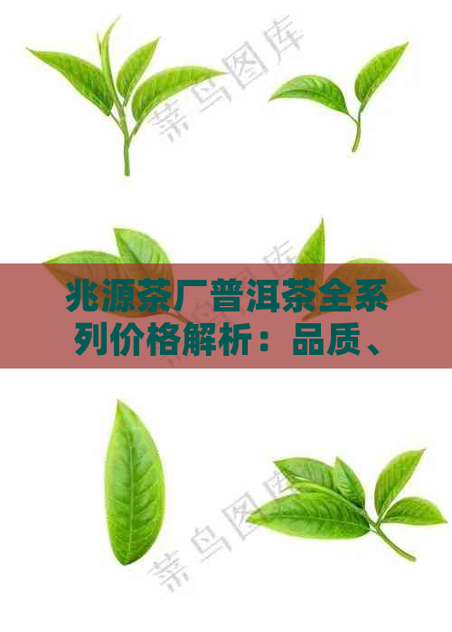 兆源茶厂普洱茶全系列价格解析：品质、年份与市场动态一应俱全