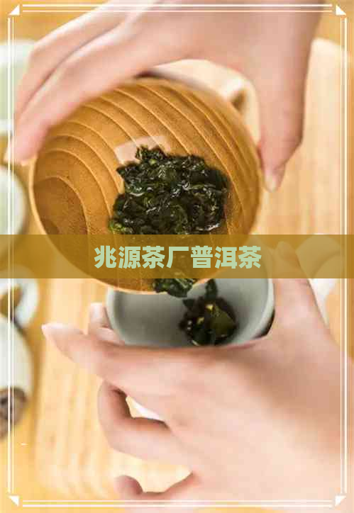 兆源茶厂普洱茶