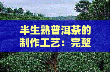 半生熟普洱茶的制作工艺：完整流程与推荐