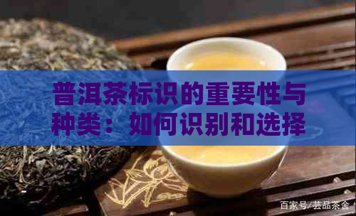 普洱茶标识的重要性与种类：如何识别和选择？