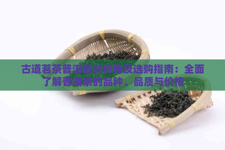 古道茗茶普洱茶叶价格及选购指南：全面了解普洱茶的品种、品质与价格