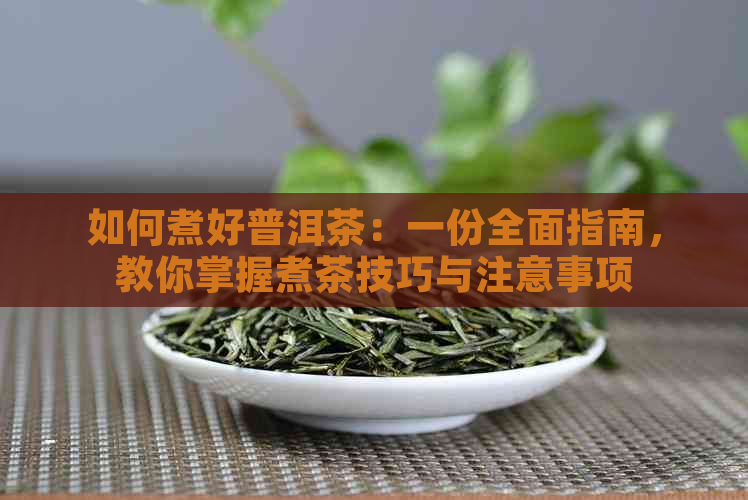 如何煮好普洱茶：一份全面指南，教你掌握煮茶技巧与注意事项