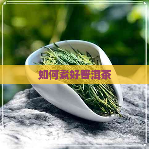 如何煮好普洱茶